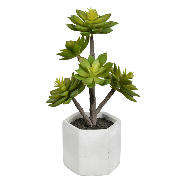 Primrue 13'' Faux Succulent Wayfair